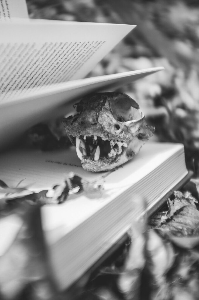 luz prohibida el camino de lucifer hacia tu divinidad interior Fotografía del libro Luz Prohibida: El camino de Lucifer hacia tu divinidad interior